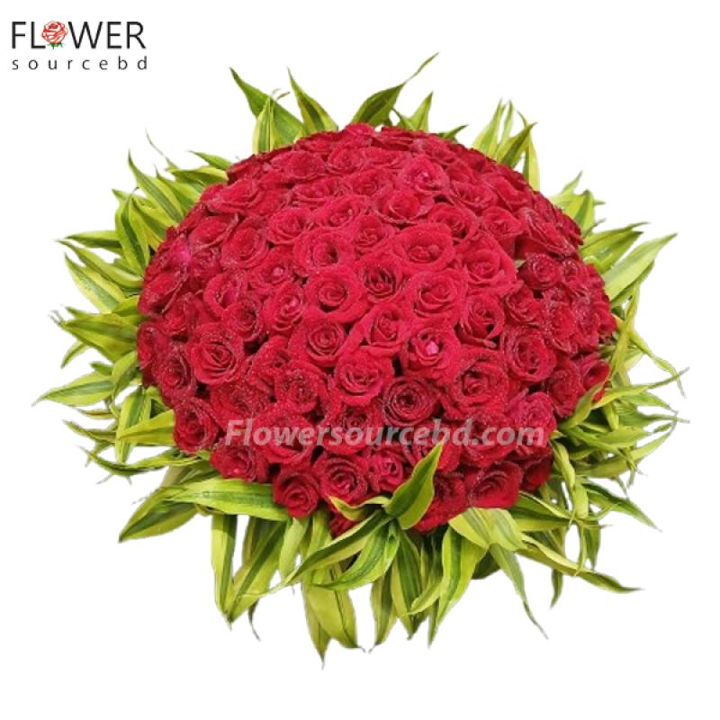 100 red roses