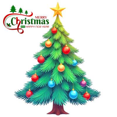 New Year and Christmas gift