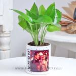 Indoor Plant Mug With printed photo
