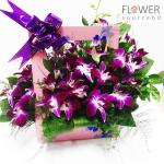 Orchid In A Backpack