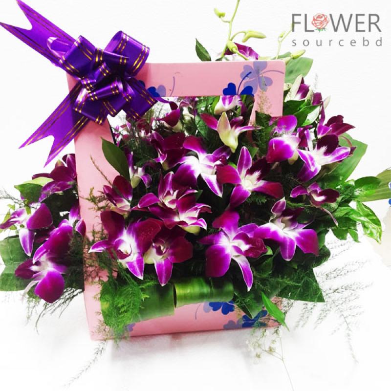 Orchid In A Backpack