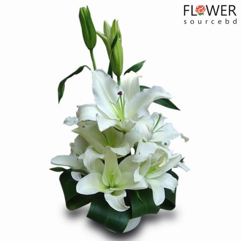 White Lily In A Vase