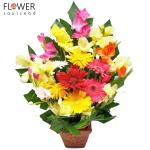 Sunglow On Terracotta