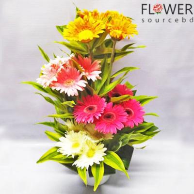 Colors Of Gerbera