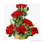 48 Pcs Premium Red Rose Basket