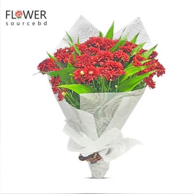 Bunch Of Red Chrysanthemum