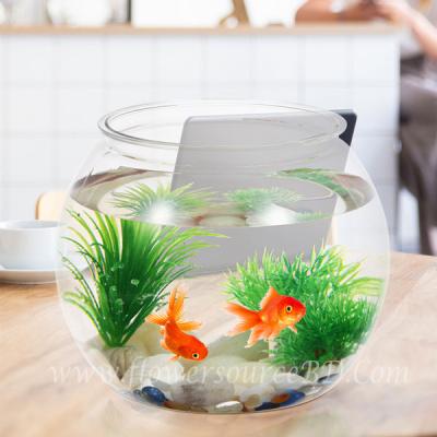 Goldfish bowl