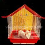 Pair of rabbit with cage