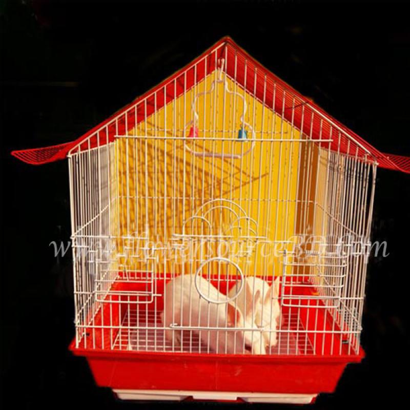 Pair of rabbit with cage
