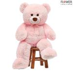 Teddy wearing pink tie