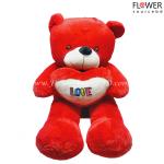 Teddy Bear with Love