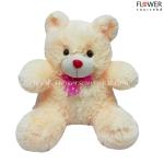 Cream Soft teddy bear